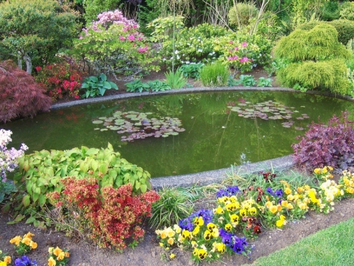 garden pond1 500x376